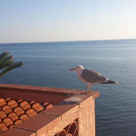 Maison Sur La Roche, Terrasse Avec Sublime Vue Mer, Classee 5 Etoiles, Quartier Des Peintres, Au Calme, Parking Prive, Clim Et Wifi Holiday home